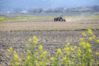 耕地が少ない日本で「農業はなぜこんなにも発展したのか」＝中国報道
