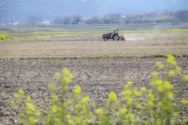 耕地が少ない日本で「農業はなぜこんなにも発展したのか」＝中国報道