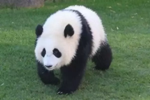 訪れて初めて分かる日本・・・中国人が「百聞は一見に如かず」と驚くこと