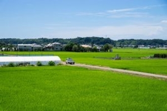 同じ農村でも「巨大すぎる差」・・・日本の農村はまるで桃源郷だ＝中国報道