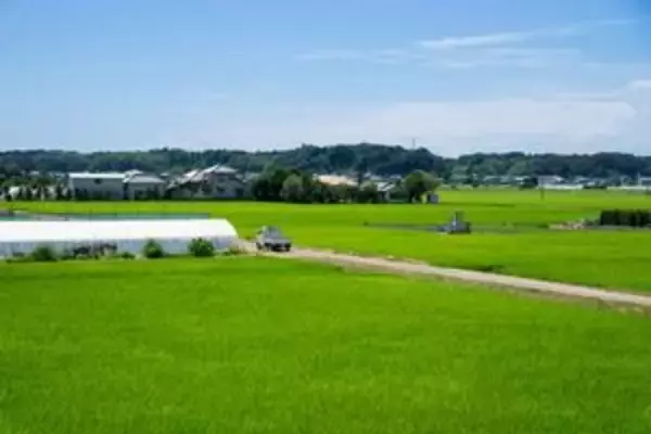 同じ農村でも「巨大すぎる差」・・・日本の農村はまるで桃源郷だ＝中国報道