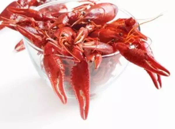 魚介大好きな日本人が、ザリガニを食べないなんて信じられない＝中国メディア