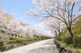 日本の街は、あなたが想像するよりも美しい＝中国メディア