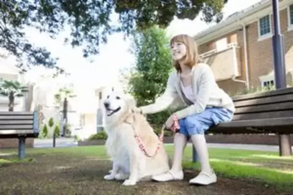 日本人はこんな風に犬を飼っていたのか・・・「さすが法律を遵守する国民だ」＝中国