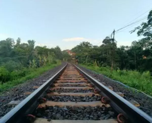 ふざけるな！　インドネシア高速鉄道に「日本を参加させるべきじゃない」＝中国報道