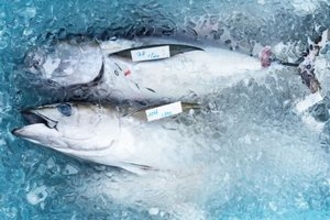 食材を生で食べる日本、一体どのように鮮度・衛生管理を行っているの？＝中国報道