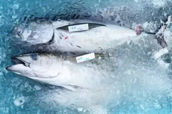 食材を生で食べる日本、一体どのように鮮度・衛生管理を行っているの？＝中国報道