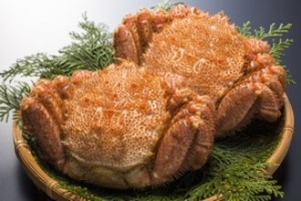 日本のグルメは、やっぱり日本で食べるのが一番うまい！＝中国メディア　