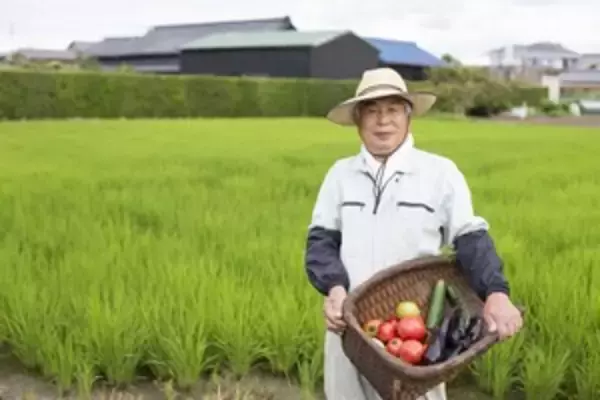 日本の田舎を見たら「大都市で暮らしたいと思わなくなった」＝中国報道
