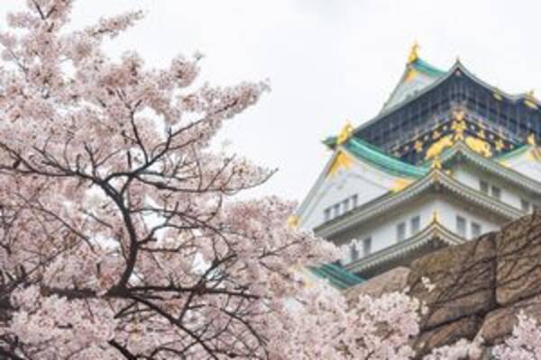 日本の桜を愛でる習慣は 中国文化の束縛から脱する 自我 の目覚めだった 年7月12日 エキサイトニュース