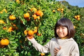日本の農作物が「なぜ美味いか」だと？　それは日本を訪れれば良く分かる＝中国報道