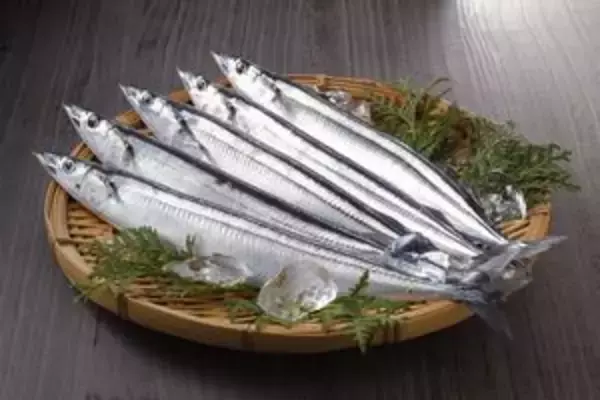 日本は「中国のせいにするな！」　サンマの漁獲量が減っているのは「日本のせいだ」＝中国