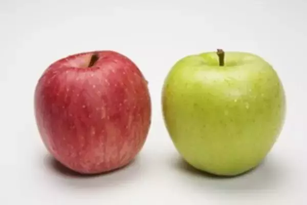 日本を視察して良く分かった！　「日本のリンゴが美味しくて、中国のリンゴが不味い理由」＝中国報道