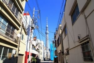 そういうことだったのか！　日本で「電線と電柱」が今なお残る理由＝中国