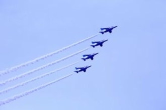 枢軸国だった日独伊のうち「なぜ日本だけが今でも軍隊を保有できないのか」＝中国