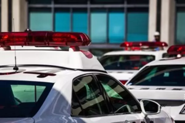 これは逃げてもムダ 日本の警察 最新のｇｔ ｒをパトカーに導入 中国メディア 18年6月18日 エキサイトニュース