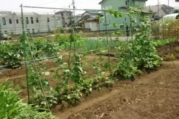 日本の都市部は「中国と何かが違う・・・」、中国人が驚く日本の都市の姿