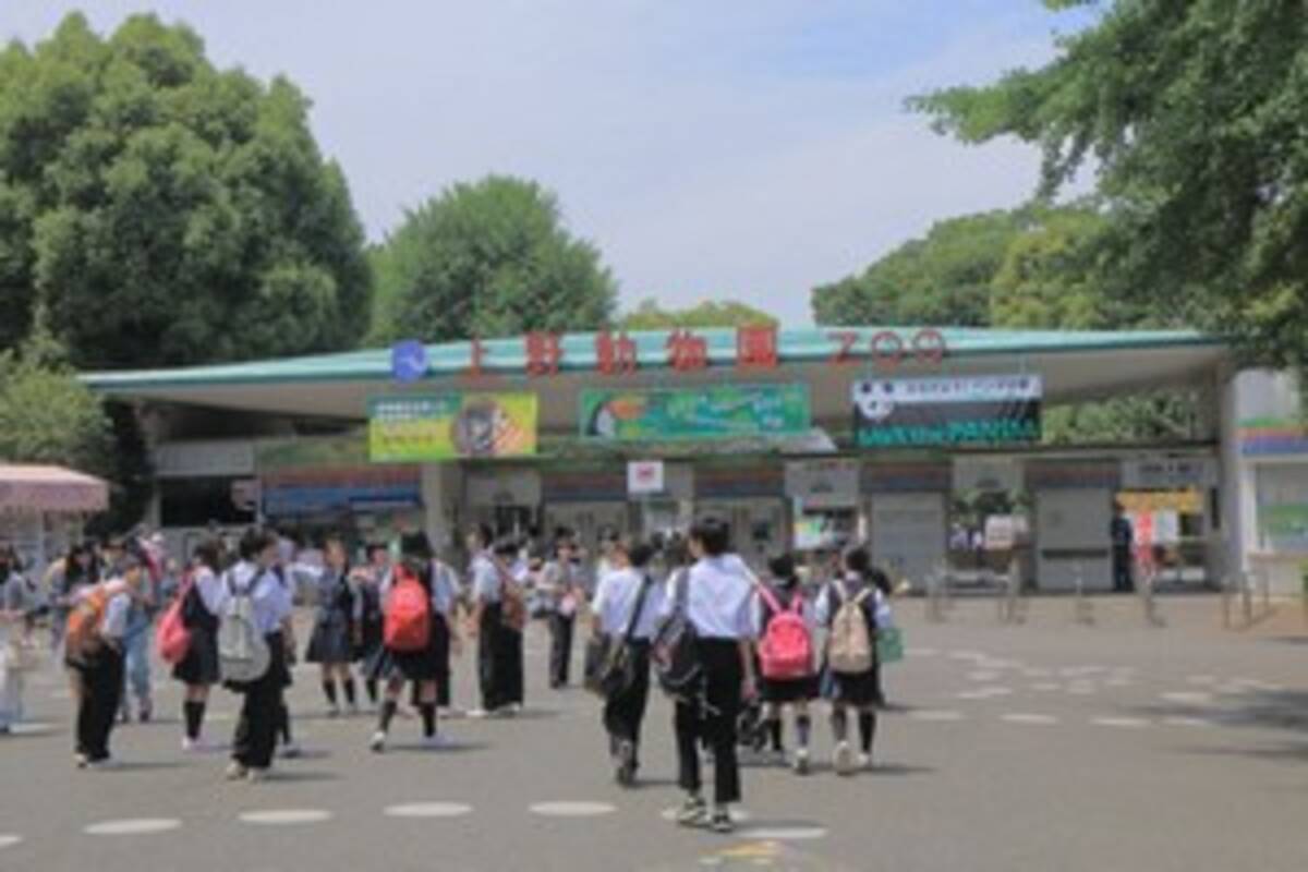 コロナ禍でも日本の学校が 修学旅行 を何とかやろうとする優しい理由 中国メディア 年11月28日 エキサイトニュース