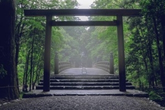 これが日本の神社仏閣なのか！　魅了された「静けさ」＝中国