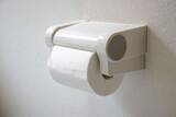 「中国人が日本の「トイレットペーパー事情」にざわついた理由」の画像1