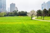 「日本各地にある公園は、防災や減災で非常に大きな役割を果たしている！」の画像1