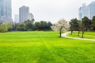 日本各地にある公園は、防災や減災で非常に大きな役割を果たしている！