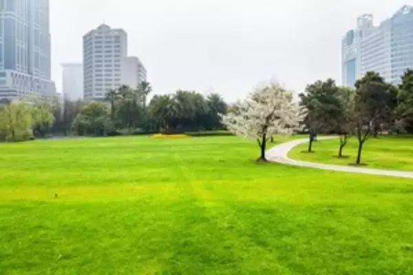 日本各地にある公園は、防災や減災で非常に大きな役割を果たしている！