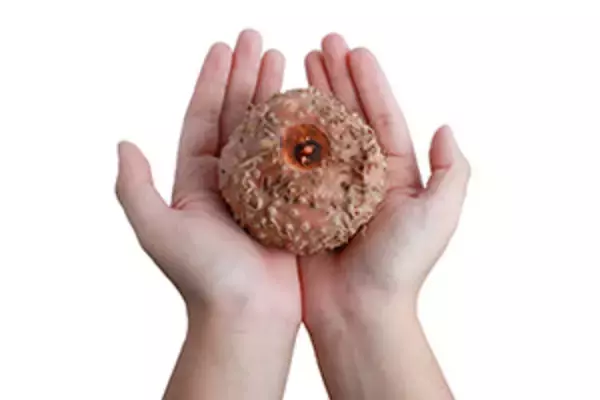 【北京ＩＰＯ】こんにゃく芋加工の湖北一致魔芋生物科技が７日に公募開始、１３５０万株発行予定