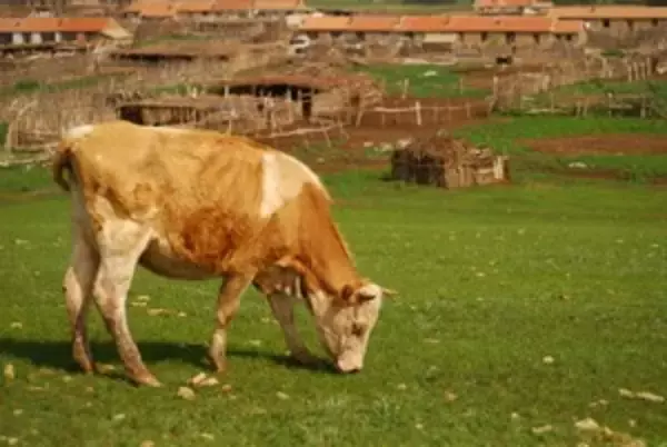 【深センＩＰＯ】農村環境マネジメントの湖南省艾布魯環保科技、初値が公開価格を７４．０１％上回る