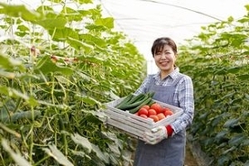 中国の農業が目指すべきは「日本の小規模分散型だ」＝中国報道