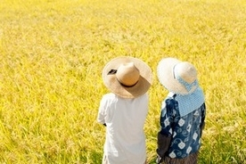 日本の農業に学べば「我が国の三農問題は一挙に解決できる」＝中国