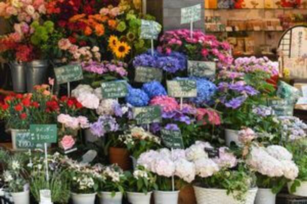 日本人ほど 花が好きな国民 はいないかも そう思う理由 中国 21年11月24日 エキサイトニュース