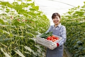 納得せざるを得ない、日本の農業が発展した理由＝中国メディア