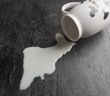 「日中両国で起きた「牛乳大量廃棄」問題、理由が全然違った！＝中国メディア」の画像1