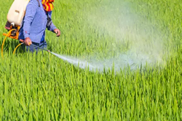 【深センＩＰＯ】農薬メーカーの農心作物科技が１９日に公募開始、２５００万株発行予定