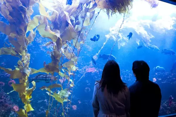 「デートで役立つ会話術＆盛り上がる話題・ネタ35選！」の画像