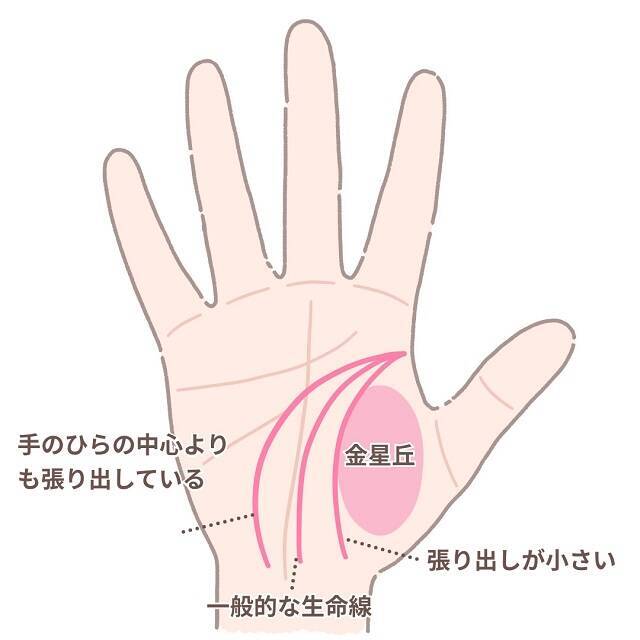 【手相占い】生命線とは？意味や見方、生命力の強い手相を解説