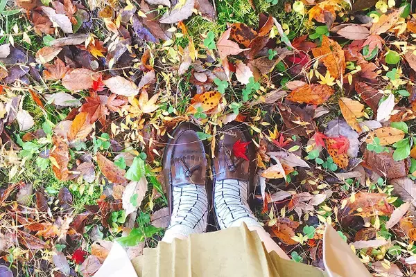 「【夢占い】蛇の夢の意味・暗示することは？夢の内容別に解説」の画像