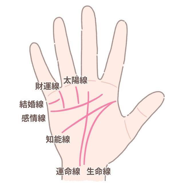 手相占いキホンの見方を徹底解説！７大線から超強運な手相まで