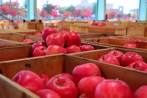 青森県男性は我慢強く厳しい、女性は相手に尽くす