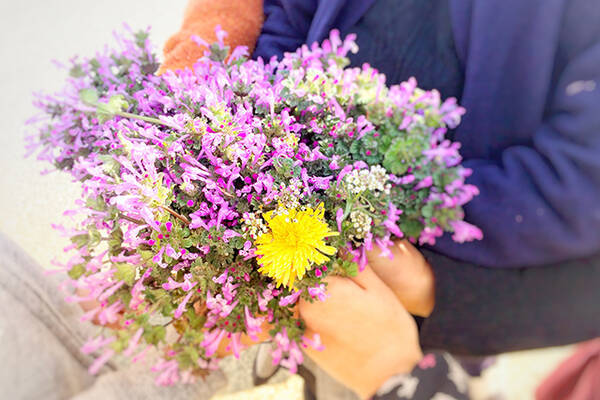 感謝を伝える花言葉16選 花束でありがとうを伝えよう 年4月3日 エキサイトニュース