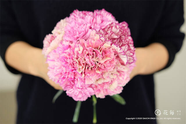 感謝を伝える花言葉16選 花束でありがとうを伝えよう 年4月3日 エキサイトニュース 3 7