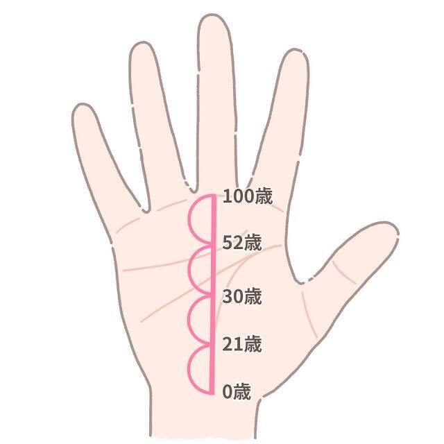 【手相占い】運命線で何がわかる？長さ・濃さ・形別の見方を解説