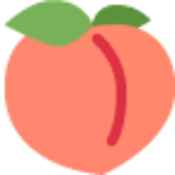 『個包装されたパン』と投稿されたお手製レインコート姿の柴犬がもうそれにしか見えない【可愛い】