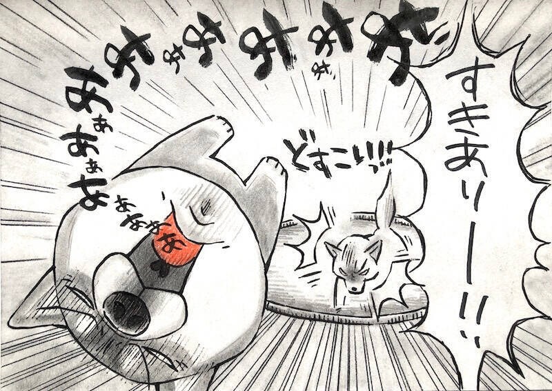 【マンガ連載】勝手に！妄想しば  #10 「モフモフまんまるボディでも勝てない!? ゴロちゃんの弱点」作：koguma2990