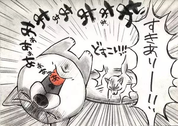 「【マンガ連載】勝手に！妄想しば  #10 「モフモフまんまるボディでも勝てない!? ゴロちゃんの弱点」作：koguma2990」の画像