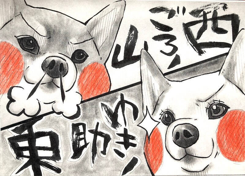 【マンガ連載】勝手に！妄想しば  #10 「モフモフまんまるボディでも勝てない!? ゴロちゃんの弱点」作：koguma2990