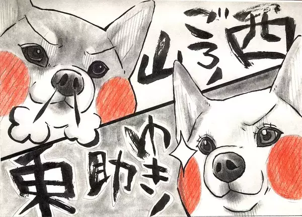 「【マンガ連載】勝手に！妄想しば  #10 「モフモフまんまるボディでも勝てない!? ゴロちゃんの弱点」作：koguma2990」の画像