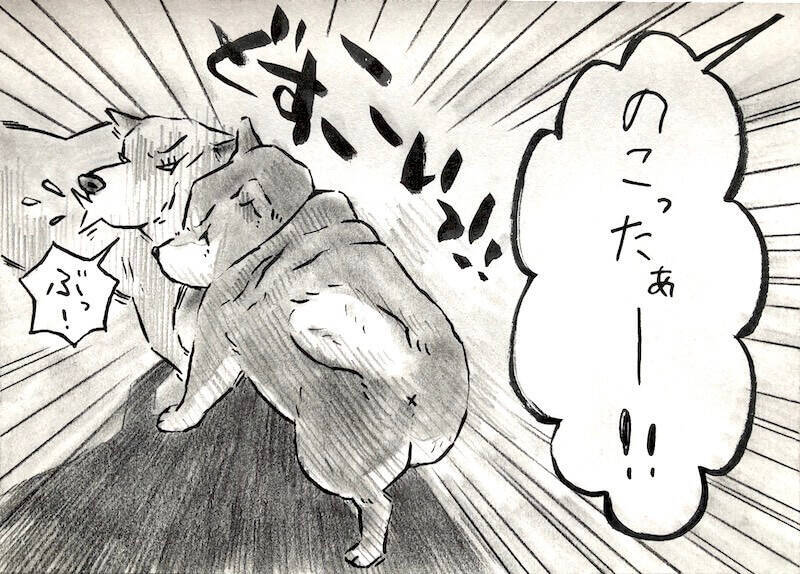 【マンガ連載】勝手に！妄想しば  #10 「モフモフまんまるボディでも勝てない!? ゴロちゃんの弱点」作：koguma2990