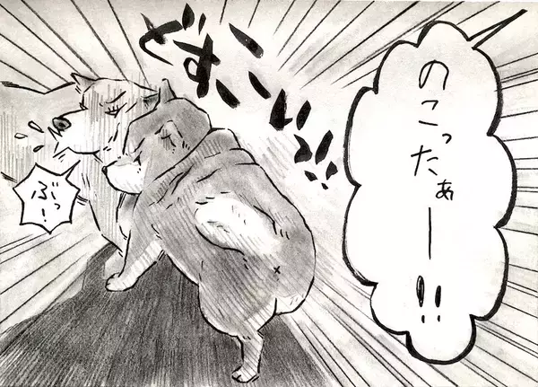 「【マンガ連載】勝手に！妄想しば  #10 「モフモフまんまるボディでも勝てない!? ゴロちゃんの弱点」作：koguma2990」の画像